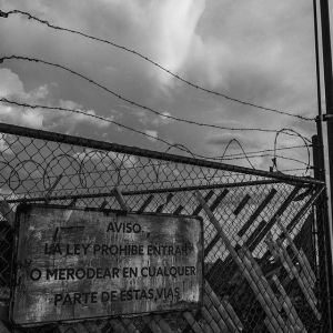 14553268_311613725862313_1578652806313672704_n