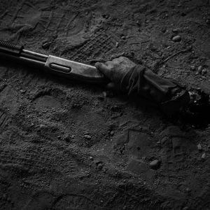 14592108_300182863702419_7500958003605012480_n